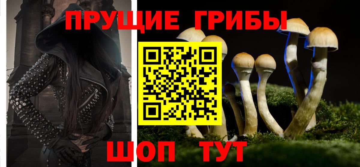 Галлюциногенные грибы Psilocybine cubensis Ртищево